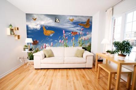 Mariposas de TeleAdhesivos